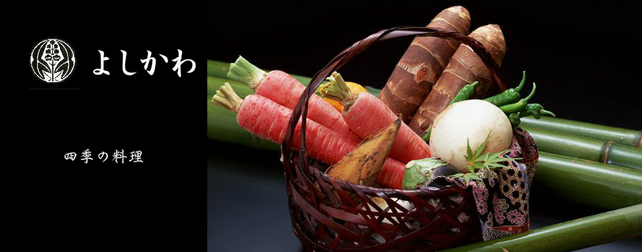 Get Adobe Flash player