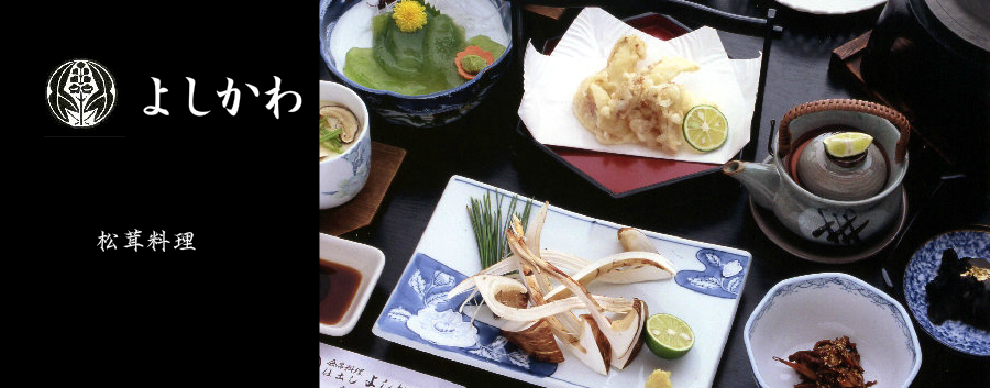 Get Adobe Flash player