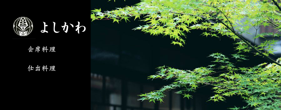 Get Adobe Flash player